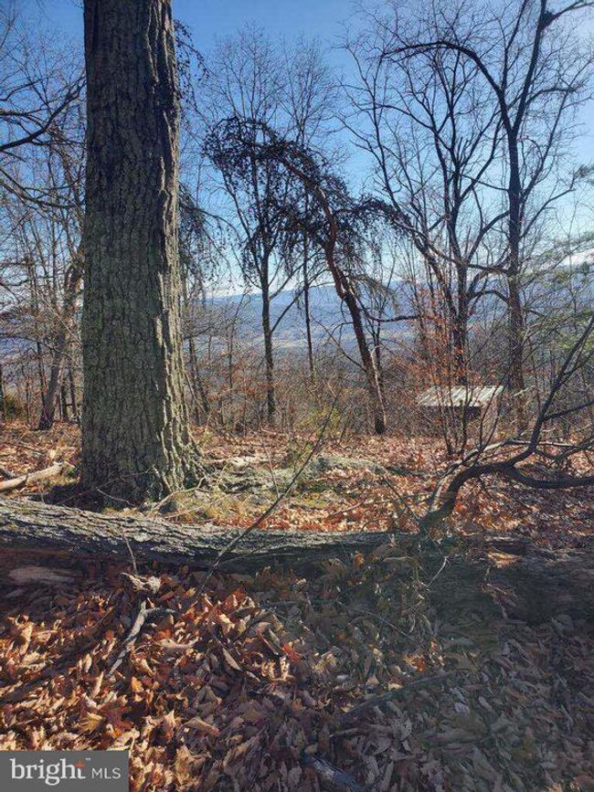 1527 Highland Springs Rd, House other with 2 bedrooms, 0 bathrooms and null parking in OLD FIELDS WV | Image 36