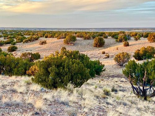 --Woodland Valley Ranch Lot 902 36.25 Acr --, St. Johns, AZ, 85936 | Card Image