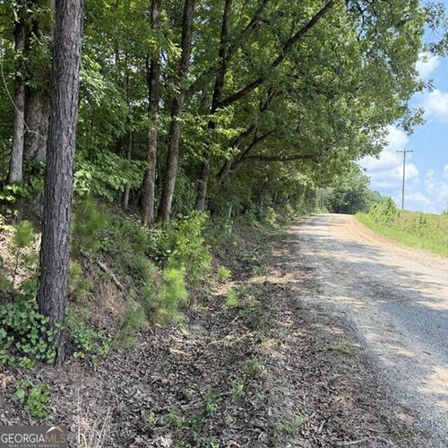 80.61 ACRES Howard Neal Road, Junction City, GA, 31812 | Card Image