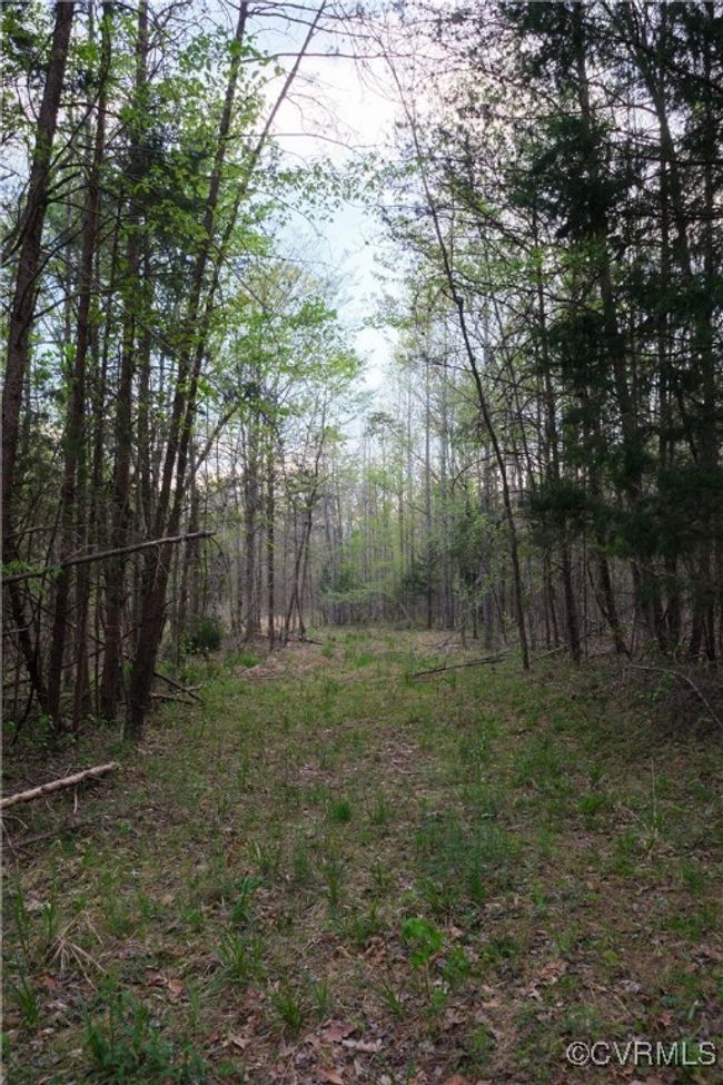 View of landscape with a view of trees | Image 7