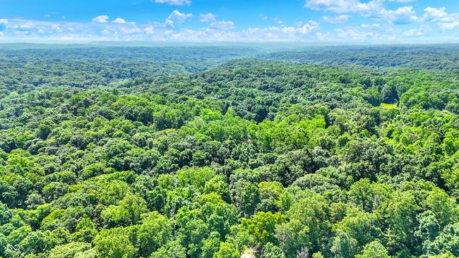 Drone shot / aerial view of heavily wooded and secluded 8.3 acres | Image 13