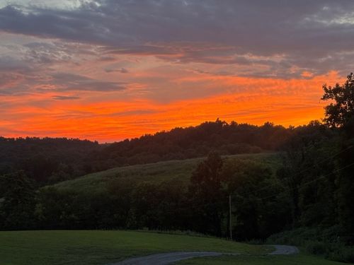 557 Ward Hollow Rd, Shelbyville, TN, 37160-5939 | Card Image