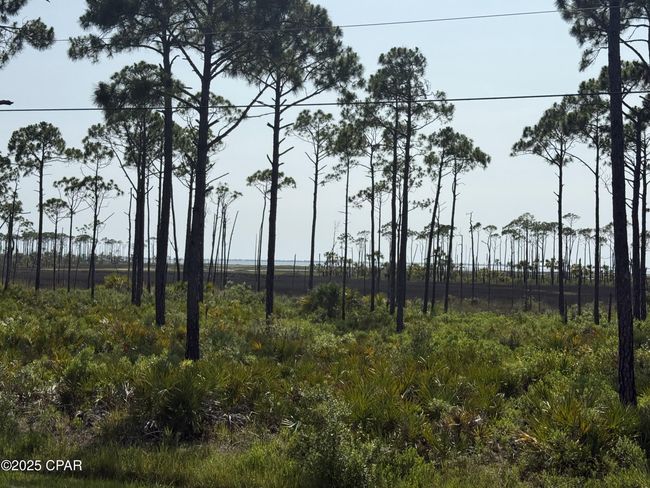 Lot 6 E Highway 98, Home with 0 bedrooms, 0 bathrooms and null parking in Port St. Joe FL | Image 6