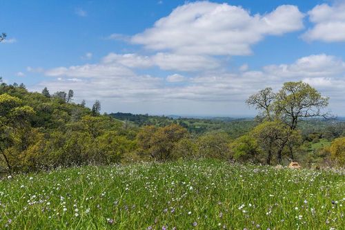 10865 State Highway 88, Jackson, CA, 95642-9414 | Card Image