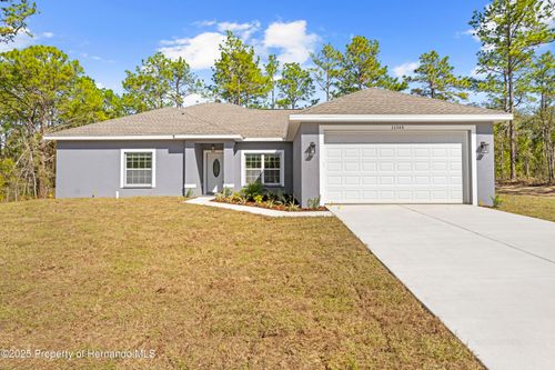 11345 Thrasher Avenue, WEEKI WACHEE, FL, 34614 | Card Image