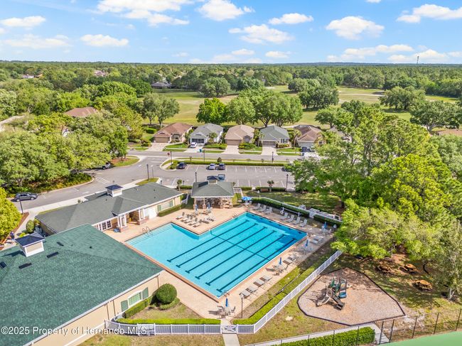 4210 Silver Berry Ct, House other with 3 bedrooms, 2 bathrooms and null parking in SPRING HILL FL | Image 41