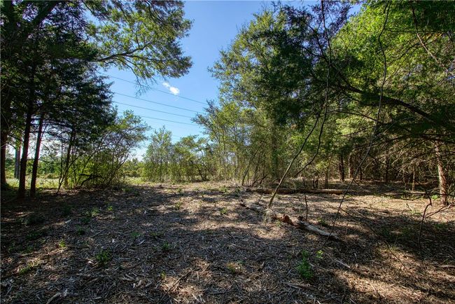 View of local wilderness | Image 15