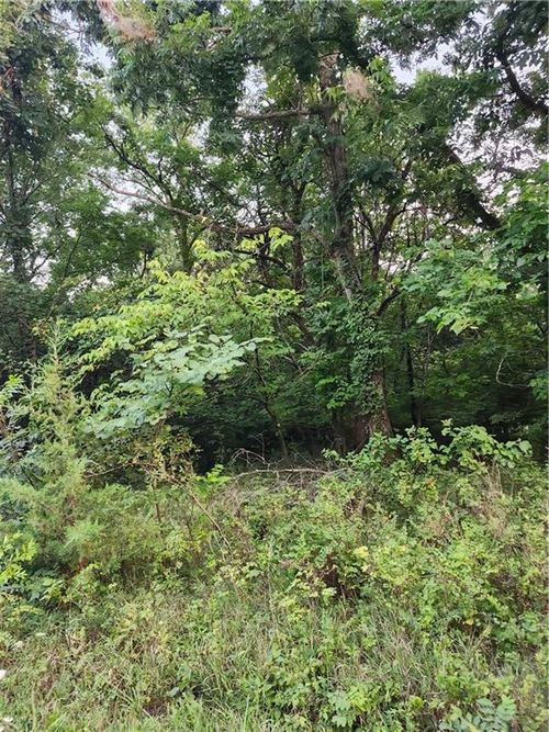 166 Sycamore Dr, Linn Valley, KS, 66040 | Card Image