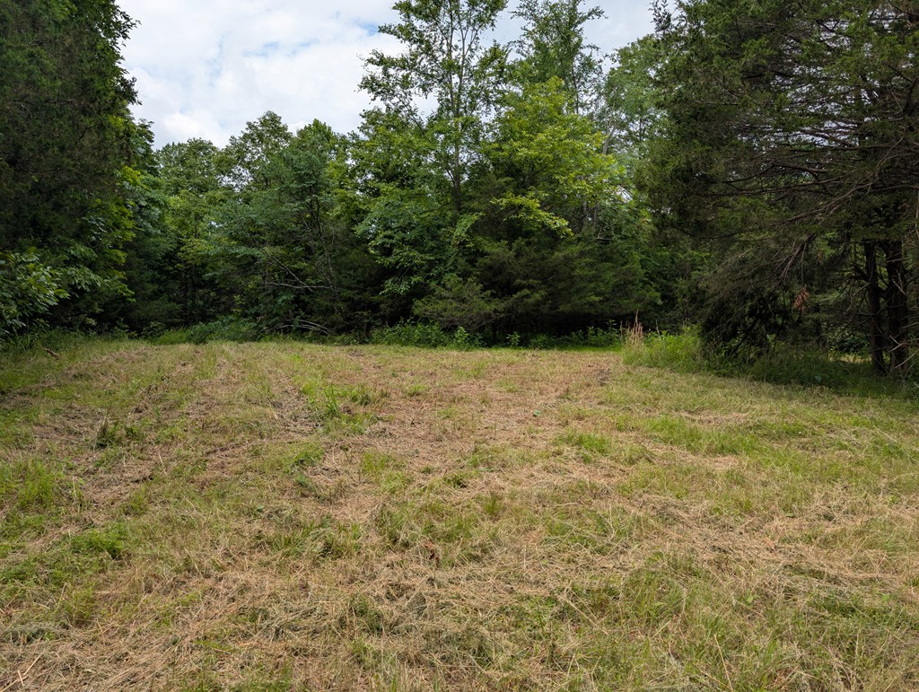 Land in Burkesville 4