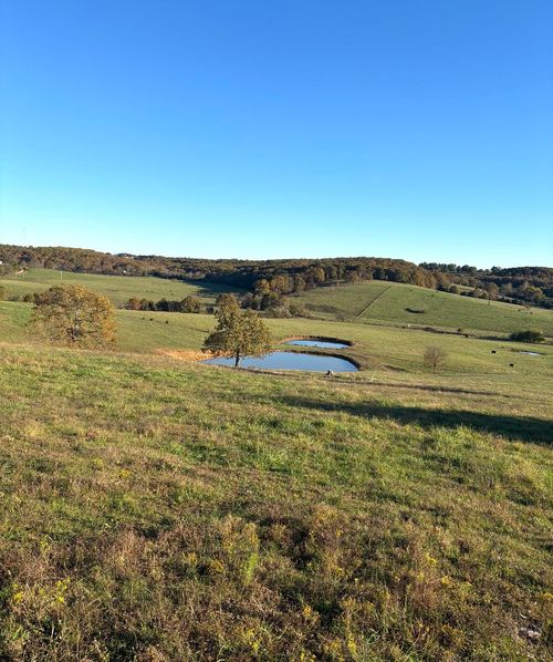 Hc 73 County Road 245, Drury, MO, 65638 | Card Image