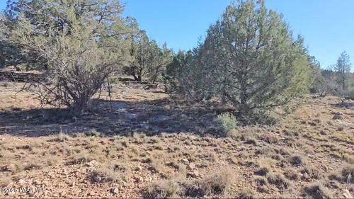 54593 N Thunderbird Ln, Seligman, AZ, 86337 | Card Image