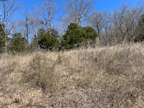 225 Stateline Dr, Holiday Island, AR, 72631-4312 | Card Image