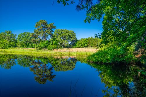 0 County Road 2592, Naples, TX, 75568 | Card Image