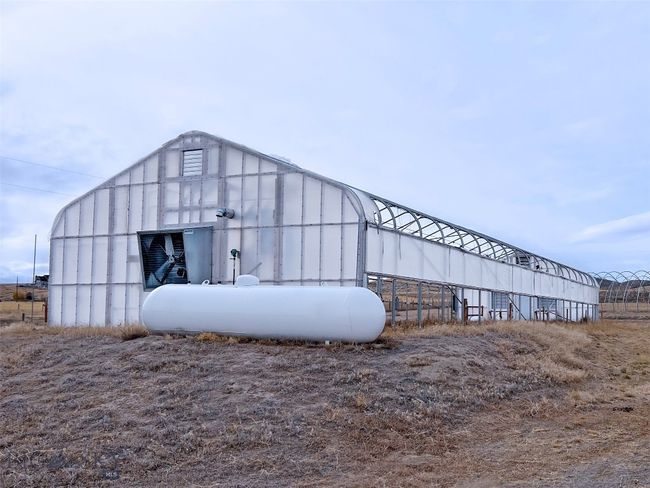 30' x 95' green house | Image 11