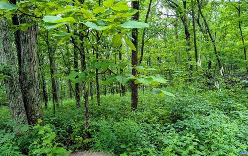 hickory-ridge-lot-2-224 Cedar Dr, ROSELAND, VA, 22958 | Card Image
