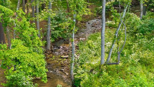 Lot 432 Twisted Oak Road, Talking Rock, GA, 30175 | Card Image