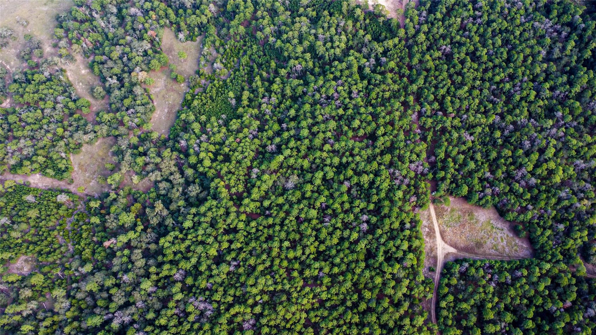 Land in La Grange 4