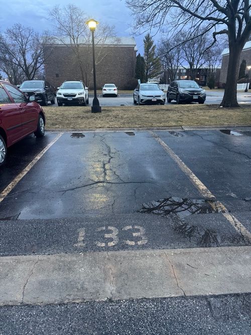 apt-310-1619 N Windsor Dr, Arlington Heights, IL, 60004-4153 | Card Image