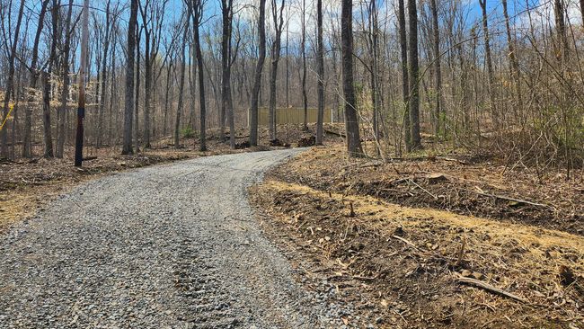 TRACT-2-PIKE-LAKE-GETAWA - 0 Pike Lake Rd, Home with 0 bedrooms, 0 bathrooms and null parking in Bainbridge OH | Image 8