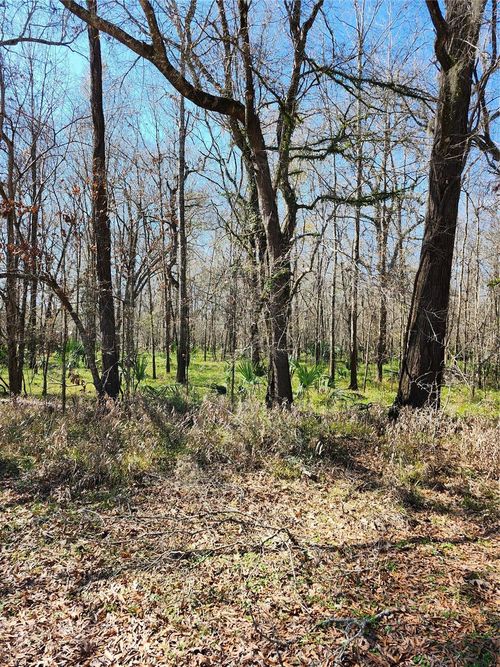 TBD Center Dr, Cleveland, TX, 77327 | Card Image