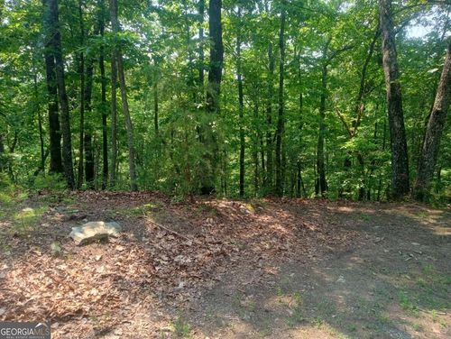 1227-LT 1227 Hilton Dr Ne, Ranger, GA, 30734 | Card Image