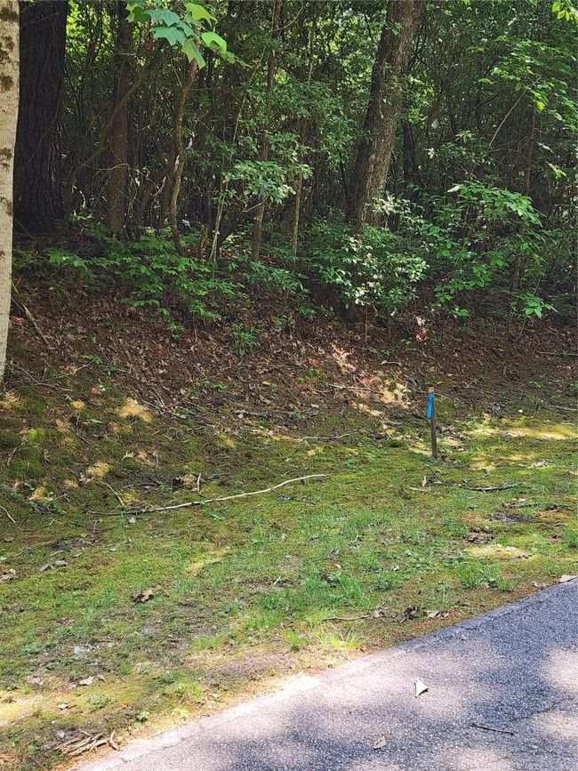 50 Big Pine Rd, Home with 0 bedrooms, 0 bathrooms and null parking in Sapphire NC | Image 4