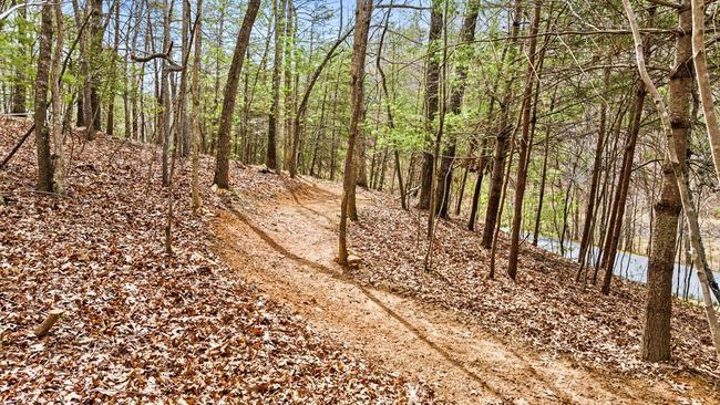 1994 Douthit Rd, Home with 3 bedrooms, 2 bathrooms and 3 parking in Mineral Bluff GA | Image 43