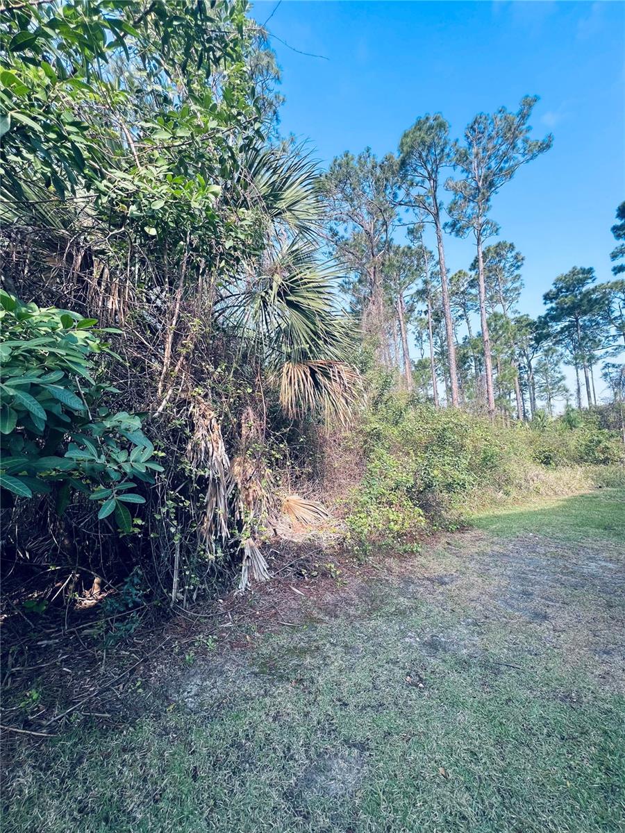 Land in PALM COAST 4