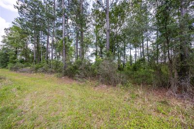 0 County Road 225, Home with 0 bedrooms, 0 bathrooms and null parking in Waldo FL | Image 2