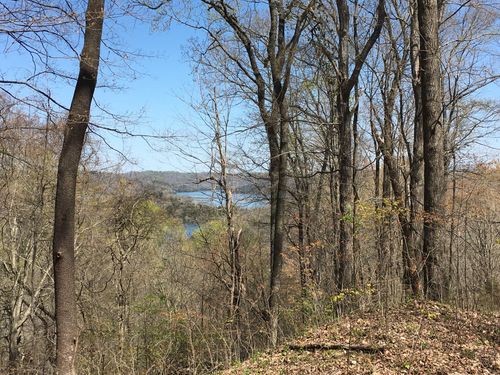 0 Rutherford Ln, Smithville, TN, 37166 | Card Image