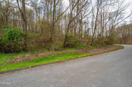Tbd Randal Laura Ln, Bluff City, TN, 37618 | Card Image