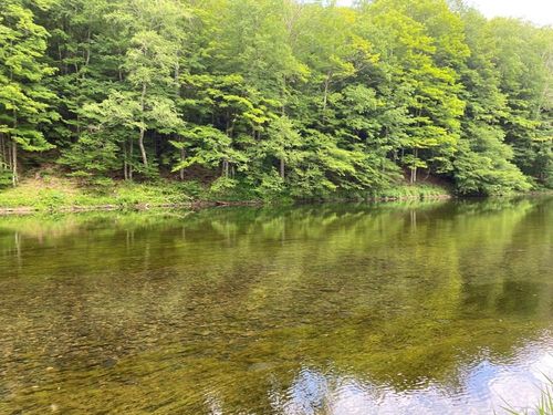 280 Airport Rd, Downsville, NY, 13755-3024 | Card Image