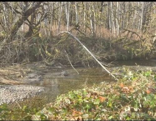 0 Sauk Road, Rockport, WA, 98237 | Card Image