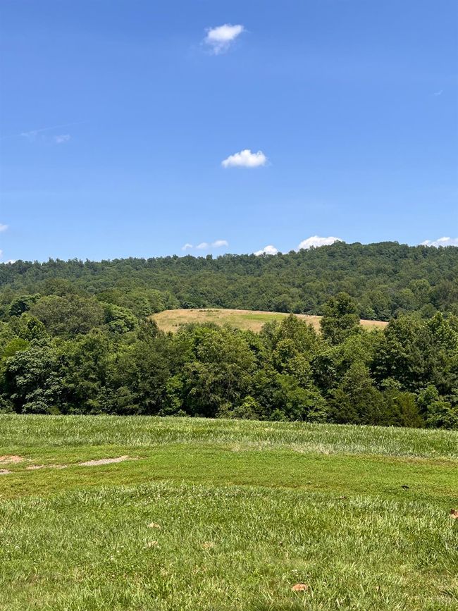 1410 Stevens Cove Rd, House other with 3 bedrooms, 2 bathrooms and null parking in LOVINGSTON VA | Image 30