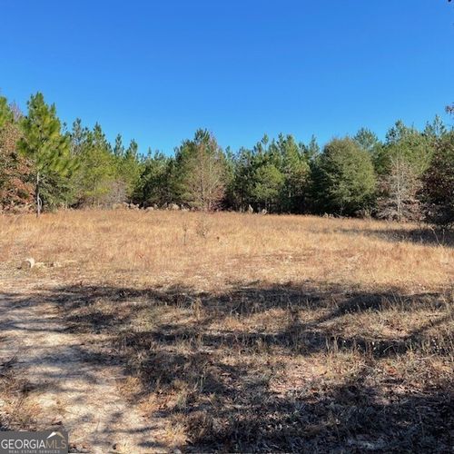 121-acres-0 Pineville Rd, Buena Vista, GA, 31803 | Card Image