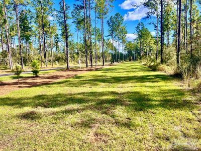 Lot 80 Naturewalk Dr, Home with 0 bedrooms, 0 bathrooms and null parking in Pace FL | Image 3