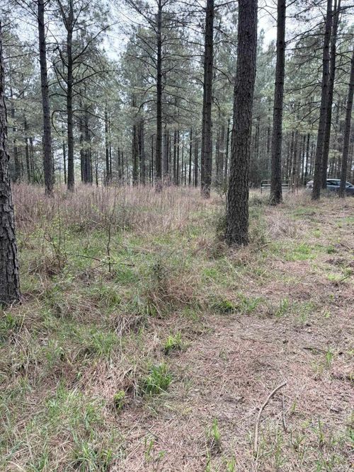 TBD Quail Ln, Murfreesboro, AR, 71958 | Card Image