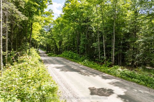 0 S Horn Lake Rd, Burks Falls, ON, P0A1C0 | Card Image