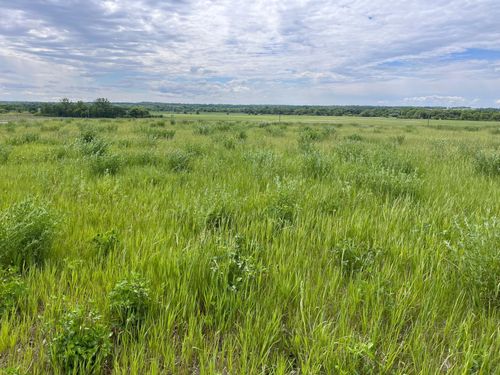 31099 El Mar Cir, Paynesville, MN, 56362 | Card Image