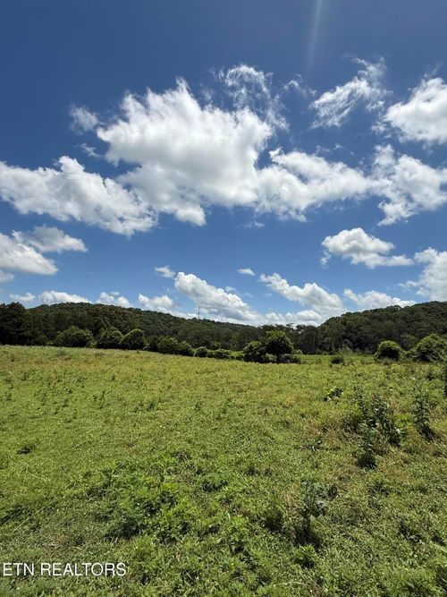 0 Newman Ln, Blaine, TN, 37709 | Card Image