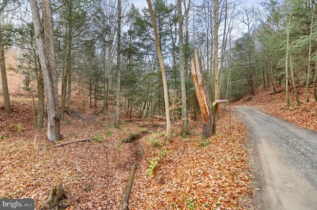 1245 Thompson Hollow Ln, House other with 3 bedrooms, 2 bathrooms and null parking in HONEY GROVE PA | Image 53