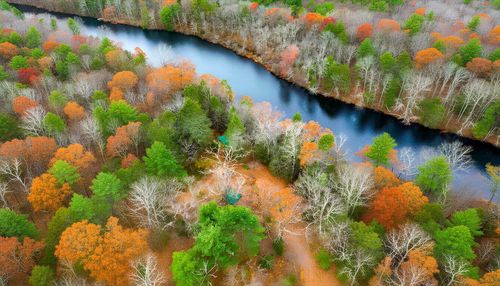 38 King Dr, Wilbraham, MA, 01095-1236 | Card Image