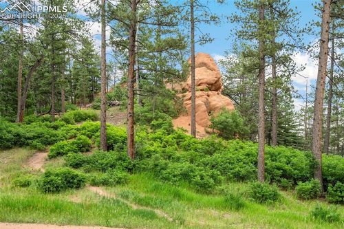 4580 Delaware Dr, Larkspur, CO, 80118-8447 | Card Image