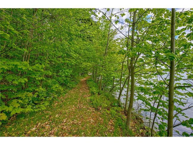 N872 County Highway Md, Home with 0 bedrooms, 0 bathrooms and null parking in SARONA WI | Image 8