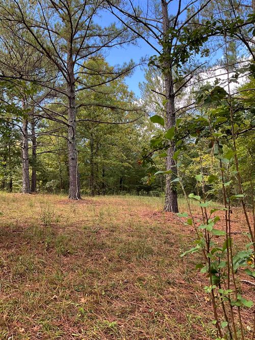 10805 Mt Hester Rd, Cherokee, AL, 35616 | Card Image