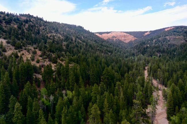 20 Acres | Image 7
