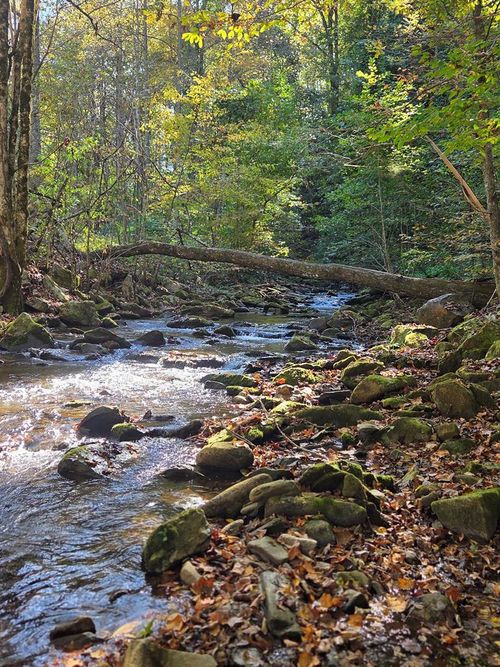 2 Lords Way, Andrews, NC, 28901-7025 | Card Image