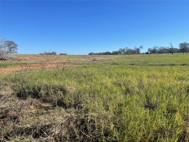 8 Tenney Creek Road, Home with 0 bedrooms, 0 bathrooms and null parking in Luling TX | Image 6