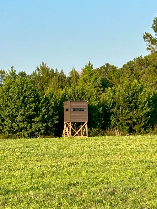 0 F C Cox Rd, Hemingway, SC, 29554 | Card Image
