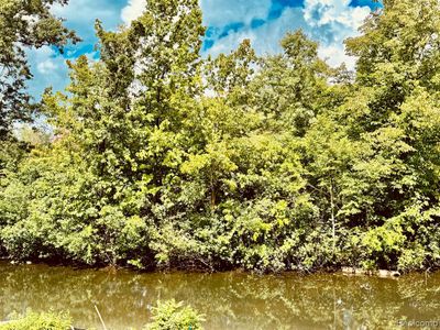 Back Yard View.No neighbors to the back. | Image 3